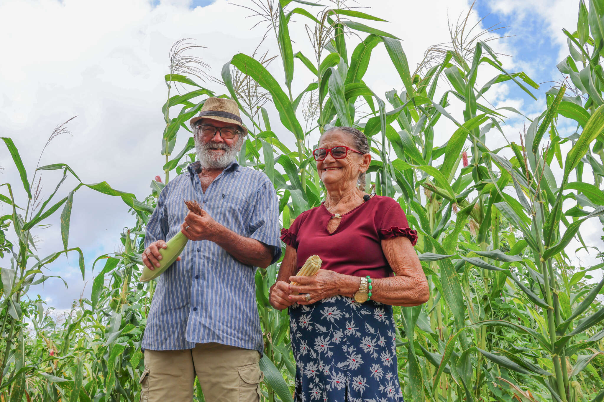 Hora de Plantar: do plantio à colheita, agricultores celebram a fartura da boa safra