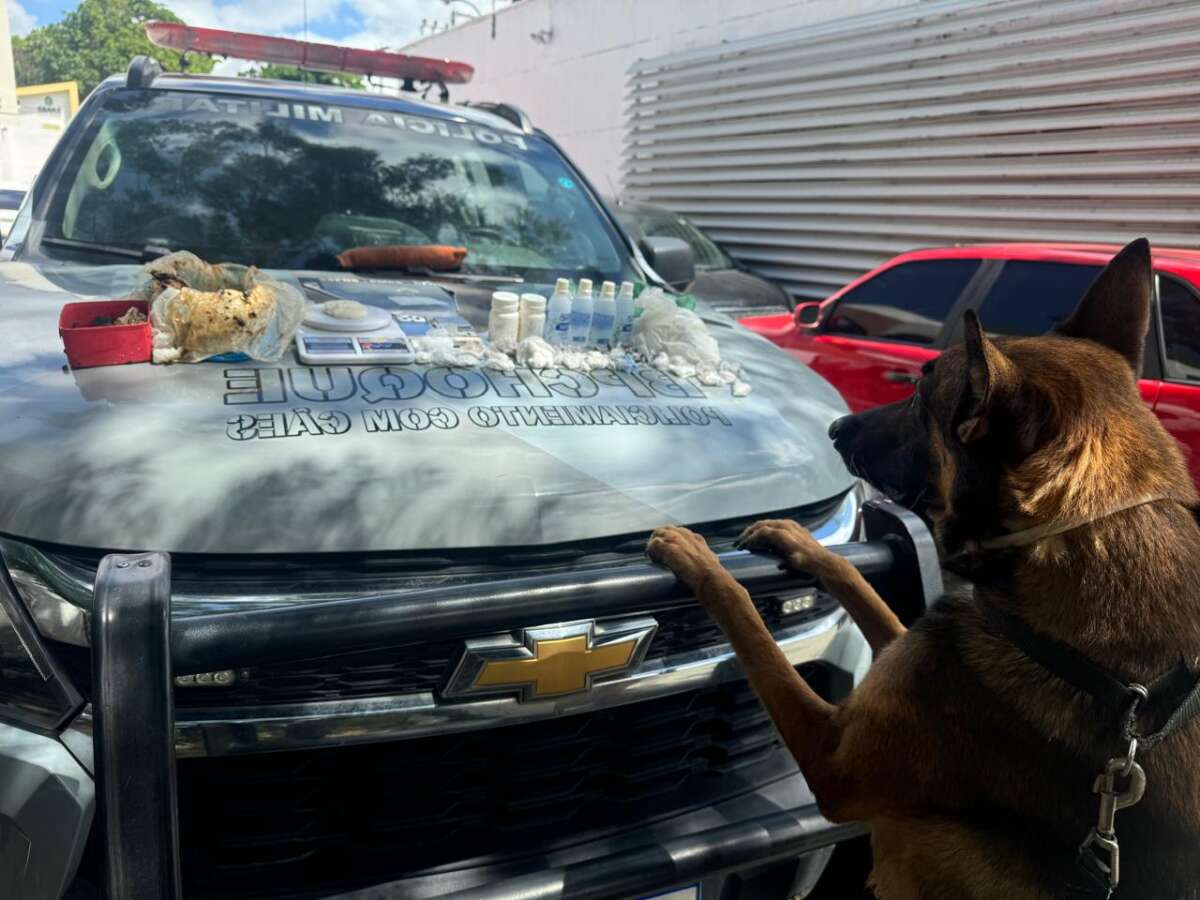 PMCE desmonta laboratório clandestino e apreende mais de 1 kg de drogas no Autran Nunes