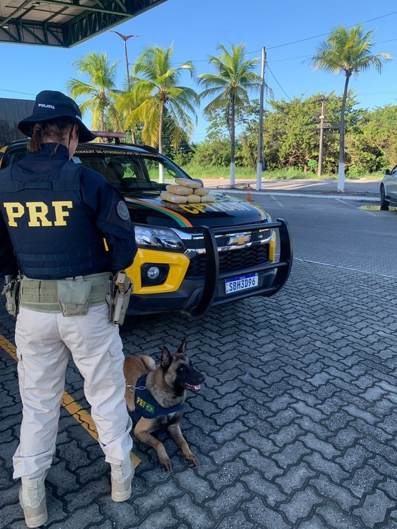 PRF e PMCE prendem suspeito de tráfico e apreendem 12kg de skunk em Caucaia