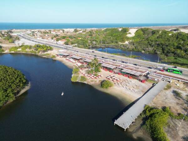 Dia Mundial dos Oceanos: parceria possibilita voluntariado no mangue e estuário