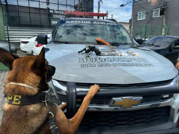 Policiamento com Cães da PMCE prende suspeita com drogas e apreende uma arma, em Maracanaú