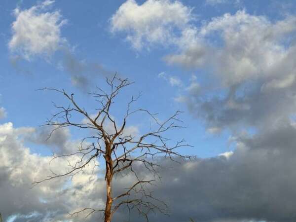 Ceará segue com predomínio de tempo firme em todas as macrorregiões