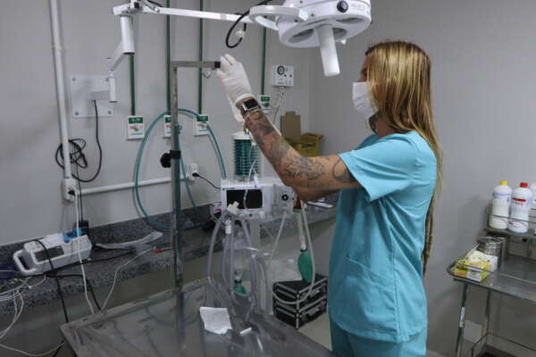 Programa Vet+Ceará realiza mais de 500 procedimentos em 13 dias de funcionamento