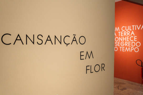 Roda de conversa marca o encerramento da exposição “Cansanção em Flor”, em cartaz no MAC-CE até o final de julho