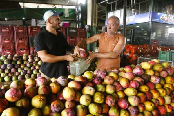 IPCE registra queda de 1,38% na cesta básica no comparativo anual