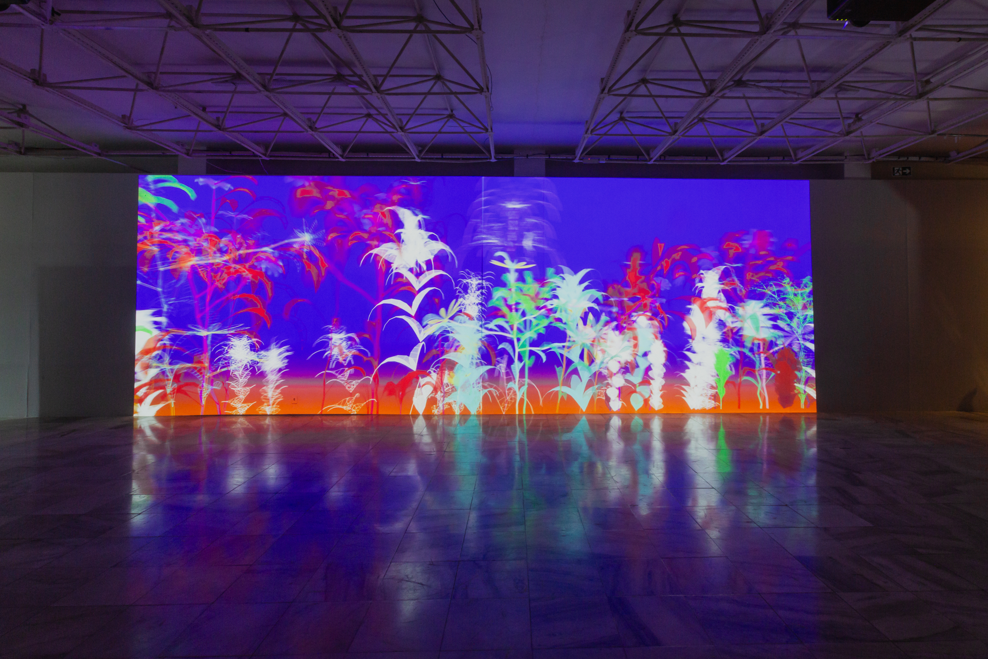 Com duas novas exposições, Pinacoteca do Ceará lança programação especial para férias de julho