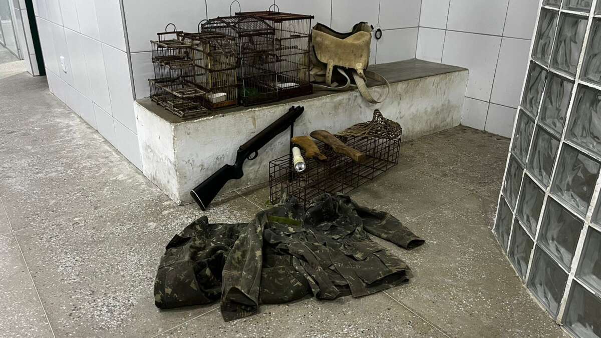 PMCE detém homem suspeito de crime ambiental em Morada Nova