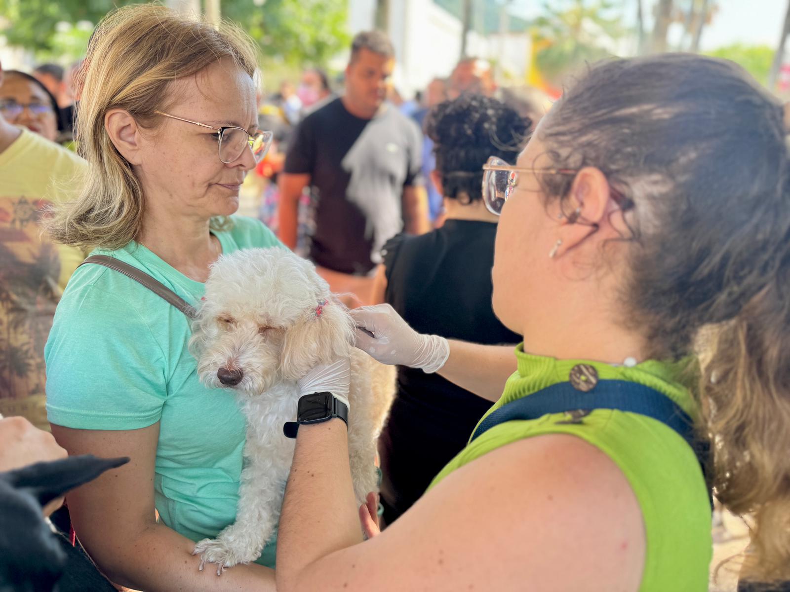 Programa Pet Protegido Ceará faz distribuição gratuita de 6 mil coleiras antiparasitárias em todo o estado