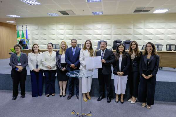 Membros da Comissão Interinstitucional de Prevenção à Violência Política de Gênero tomam posse