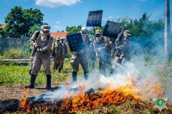Corpo de Bombeiros já apagou 390 focos de incêndios em vegetações no mês de agosto