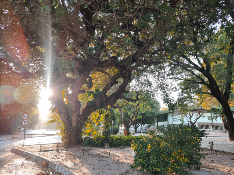 PGE assina termo de compromisso com a Sema para adoção da Coleta Seletiva Solidária