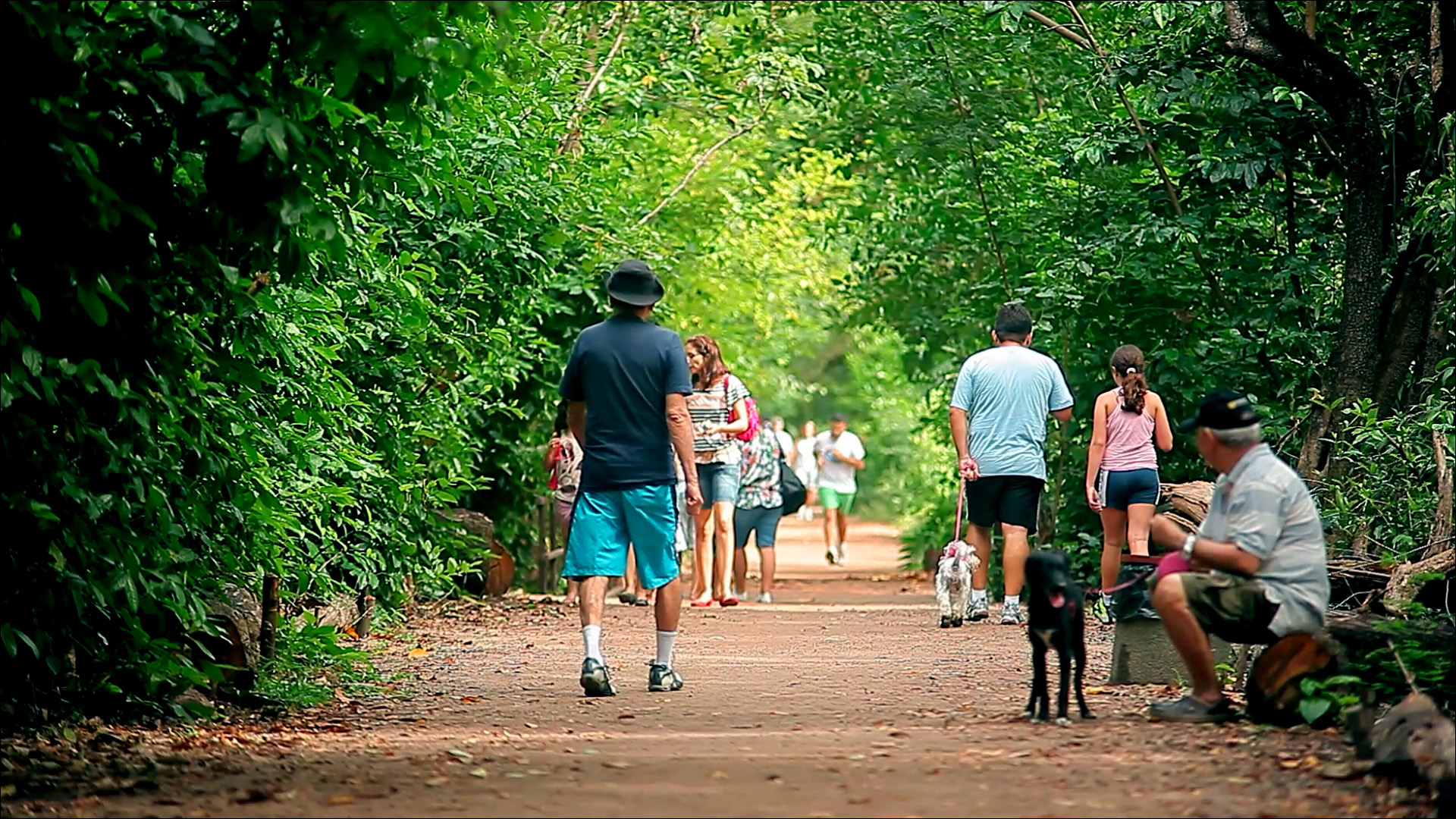 Parque Estadual do Cocó é o mais visitado do Brasil