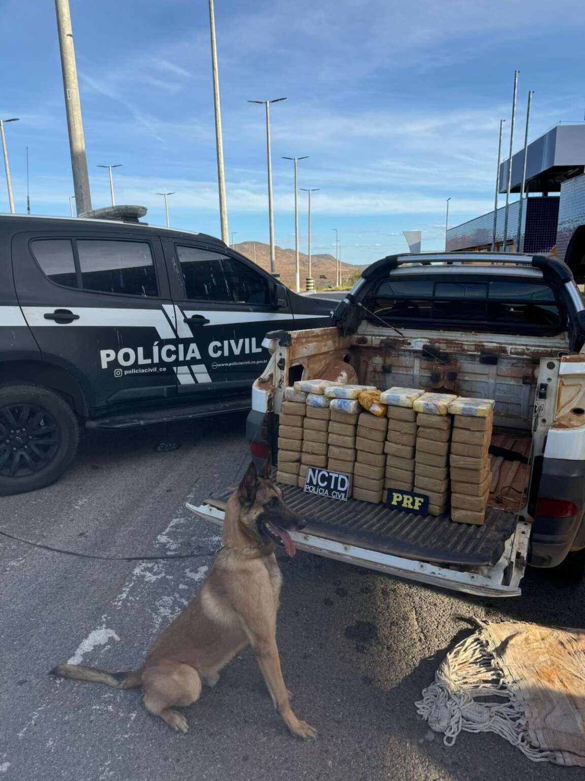 Operação conjunta entre PCCE e PRF resulta em captura e apreensão de mais de 64 kg de drogas em Icó