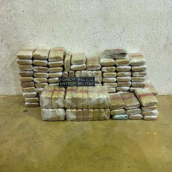 PMCE e Sefaz apreendem mais de 135kg de drogas em Tianguá