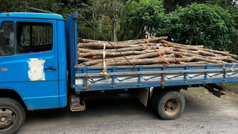 BPMA apreende 2.500m³ de madeira nativa de origem duvidosa em Guaramiranga