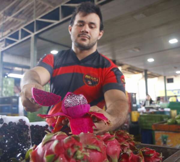 Confira os benefícios da pitaya para a saúde
