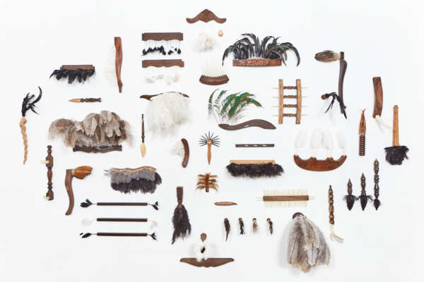 Marisa Flórido debate a relação entre arte e crise climática na Pinacoteca do Ceará