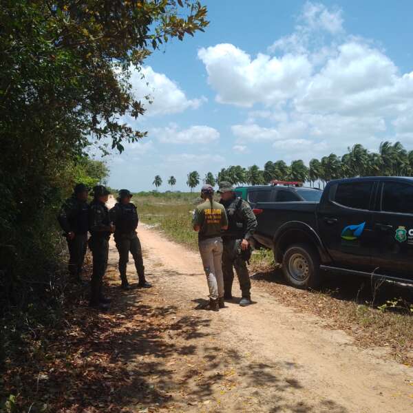 Operação Mata Atlântica em Pé 2024 combate desmatamento ilegal no Ceará