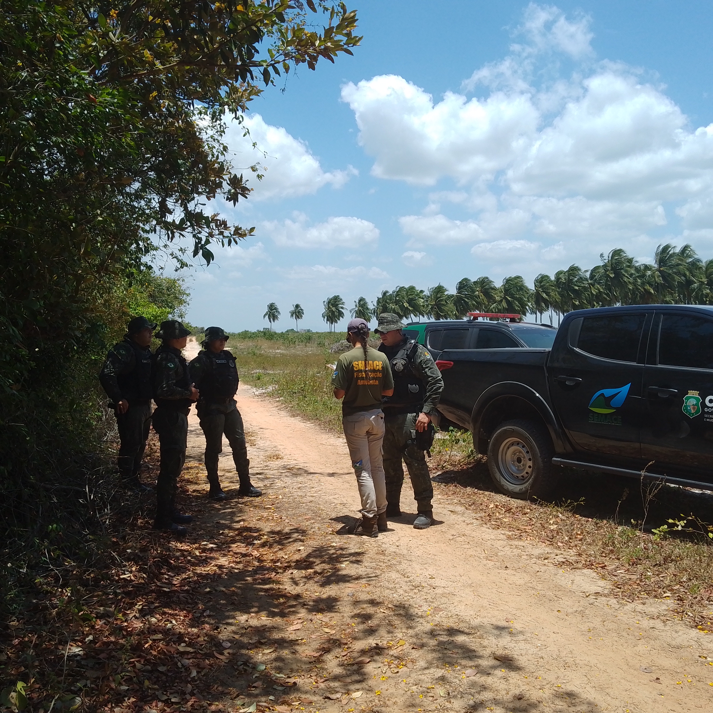 Operação Mata Atlântica em Pé 2024 combate desmatamento ilegal no Ceará