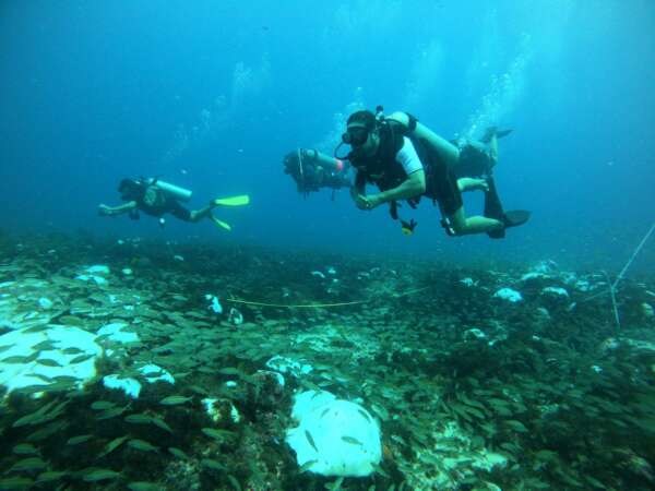 Parque Estadual Marinho da Pedra da Risca do Meio: Refúgio biológico completa 27 anos
