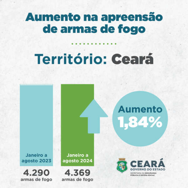 Forças de Segurança apreendem 4.369 armas de fogo de janeiro a agosto de 2024 no Ceará