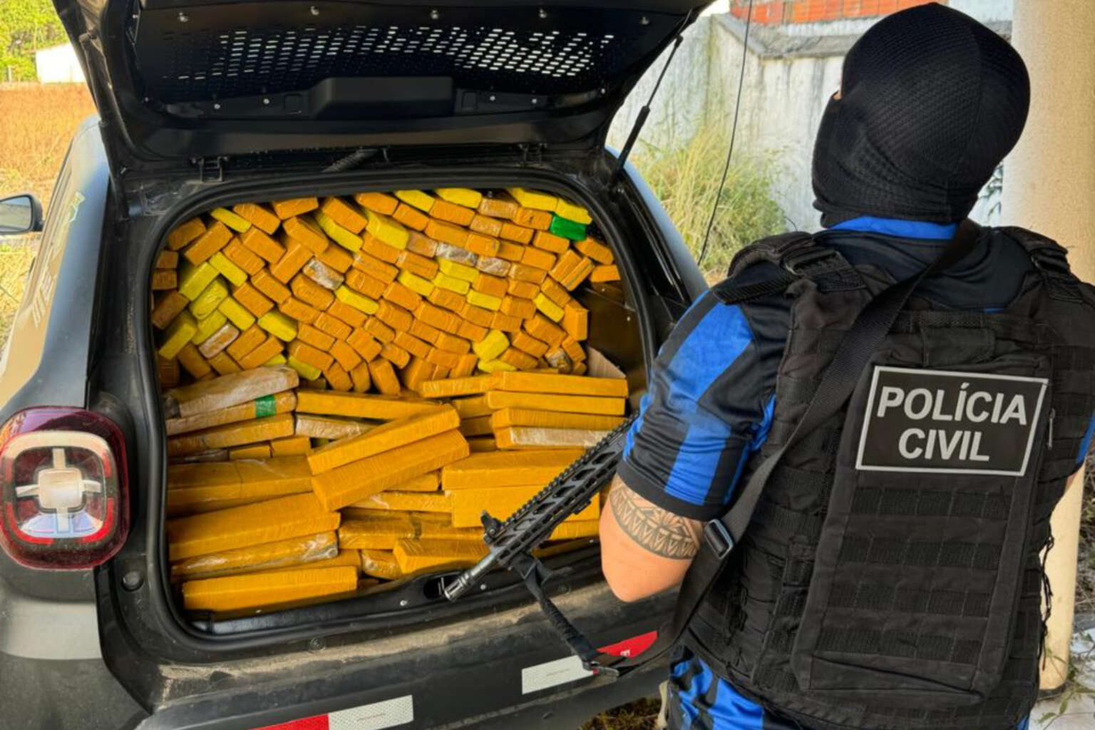 Polícia Civil apreende mais de 270 kg de maconha durante ação em Horizonte