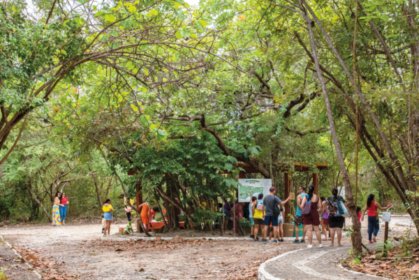 Parque Estadual Botânico do Ceará completa 28 anos de preservação ambiental