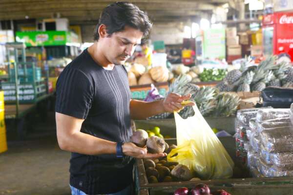 IPCE registra queda de 11,04% no setor Hortaliças Fruto no comparativo anual