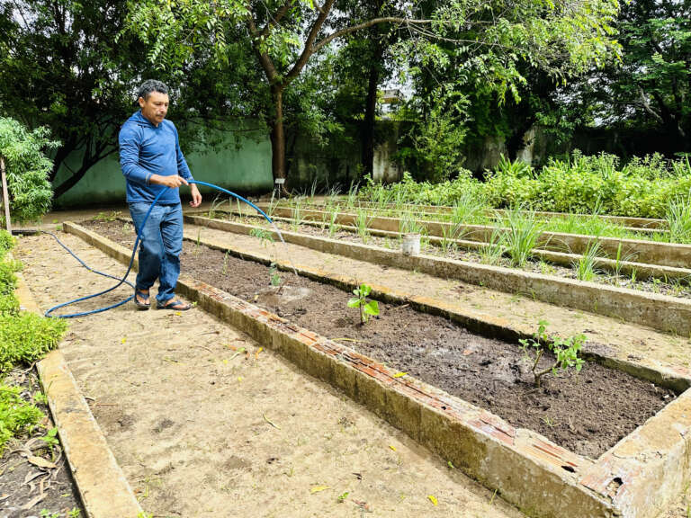 Farmacêuticos podem se inscrever até sexta-feira (6) para bolsa em projeto de farmácias vivas da Sesa
