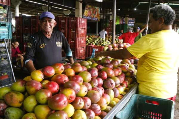 Produtos em safra garantem preços atraentes na Ceasa-CE