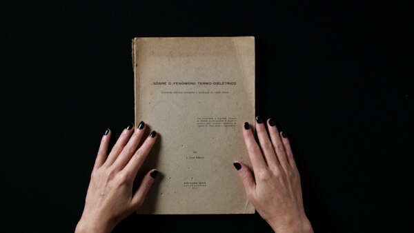 Pré-estreia comentada, duas estreias, sessão gratuita e bate-papo com curadora são as novidades do Cinema do Dragão a partir desta quinta (3)