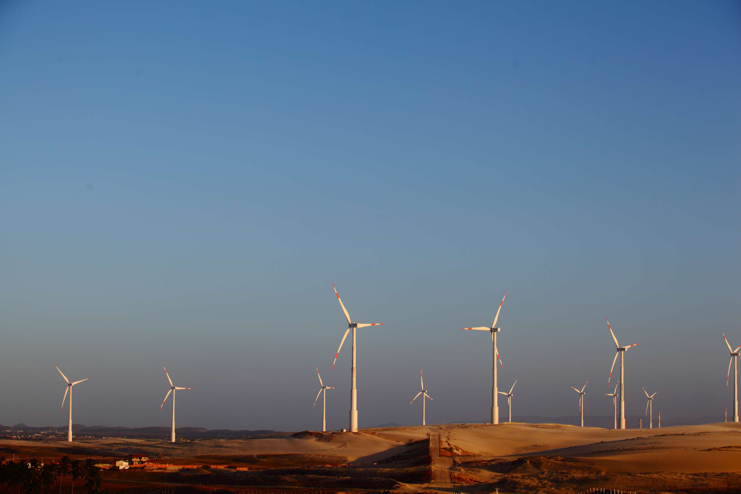 Ceará recebe cúpula mundial de transição energética e reafirma protagonismo em energias renováveis