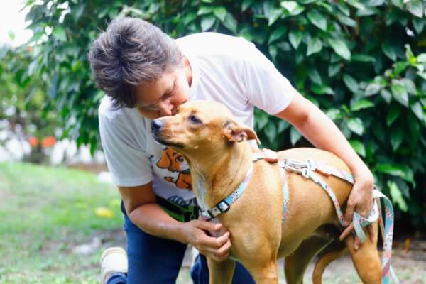 Secretaria da Proteção Animal celebra dois anos com mais de 100 mil atendimentos realizados no Ceará