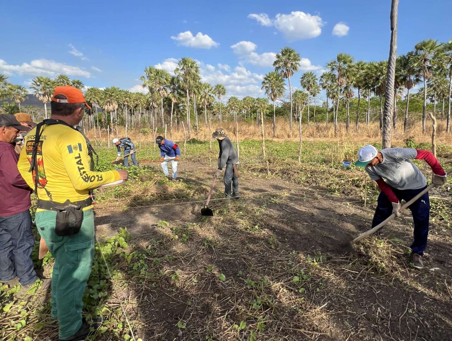 Parque Estadual das Carnaúbas integra primeira Brigada Voluntária Florestal no Noroeste cearense
