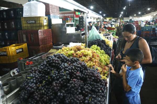 Cresce procura por produtos natalinos na Ceasa-CE