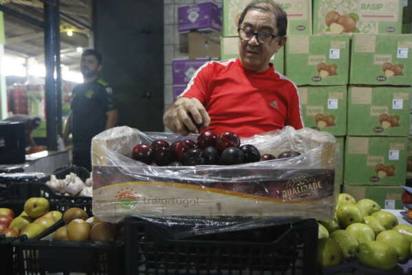 Consumo da ameixa fresca nas festas de fim de ano e seus benefícios