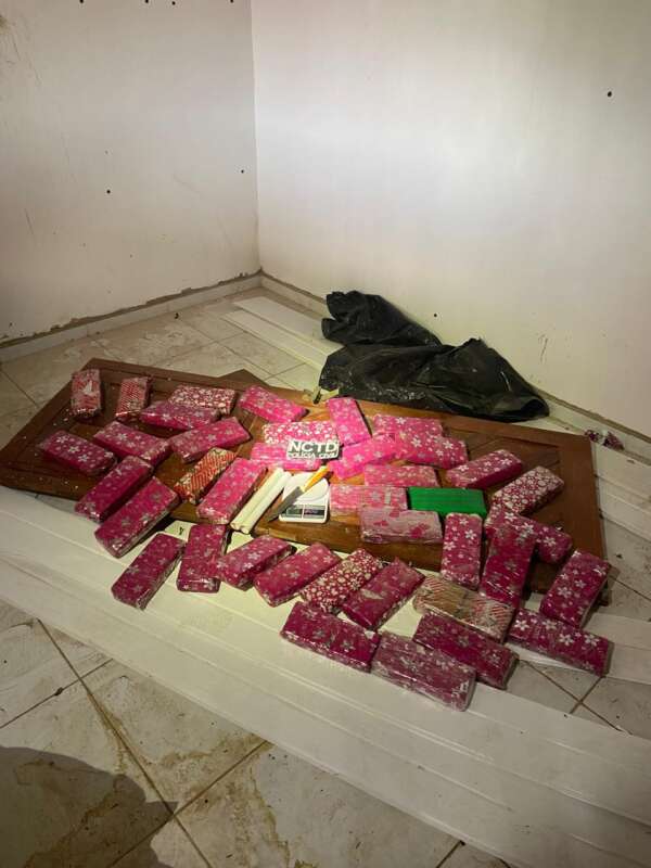 PCCE apreende cerca de 40 kg de maconha embaladas para presente em Juazeiro do Norte