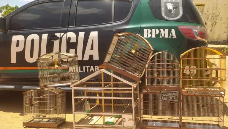 PMCE resgata 46 pássaros silvestres durante ação em Várzea Alegre