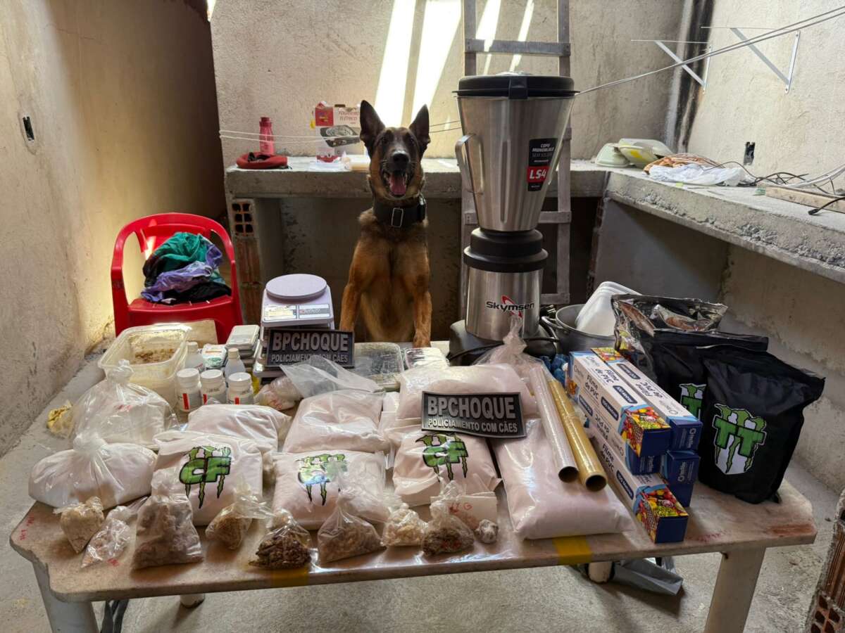 PMCE desativa laboratório de drogas ilegais e apreende mais de 14 kg de entorpecentes
