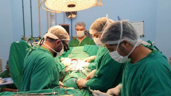 Hospital de Messejana bate recorde de transplantes de coração em 2024; instituição realizou 34 procedimentos até a segunda quinzena de dezembro