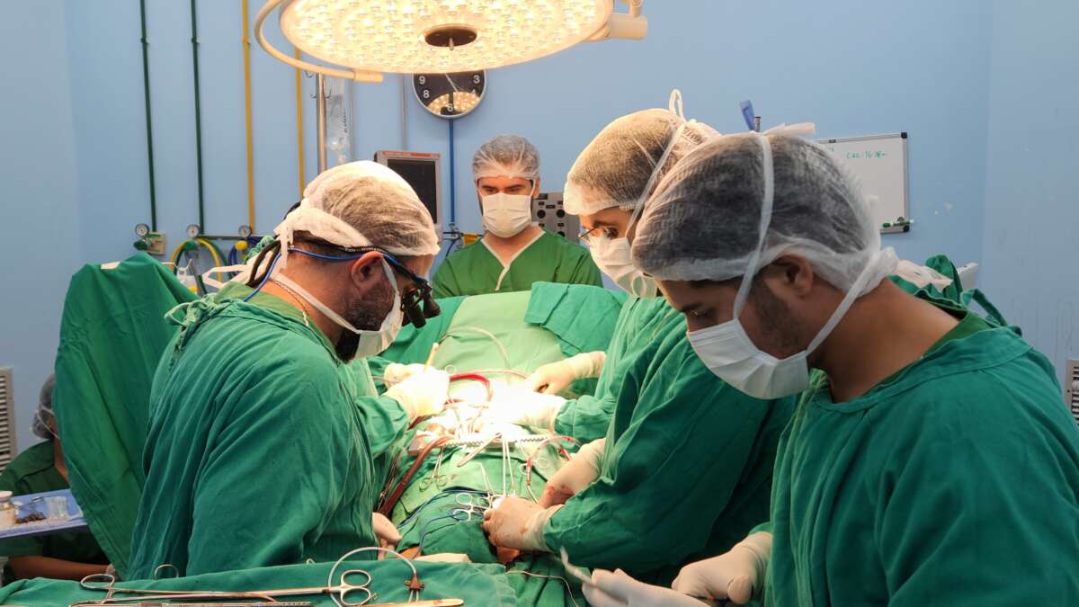 Hospital de Messejana bate recorde de transplantes de coração em 2024; instituição realizou 34 procedimentos até a segunda quinzena de dezembro