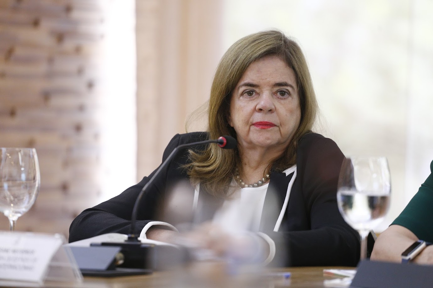 Com foco na atração de investimentos, Secretaria das Relações Internacionais faz balanço positivo do ano de 2024