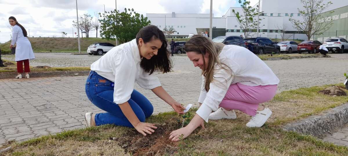 Hospital Regional do Sertão Central promove plantio coletivo de 45 mudas de plantas nativas na área externa da unidade