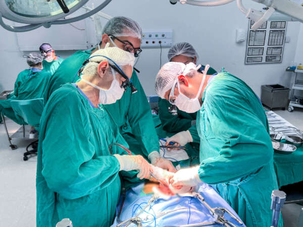 HGF oferece 39 vagas para programas de fellowship em Fisioterapia, Medicina e Odontologia