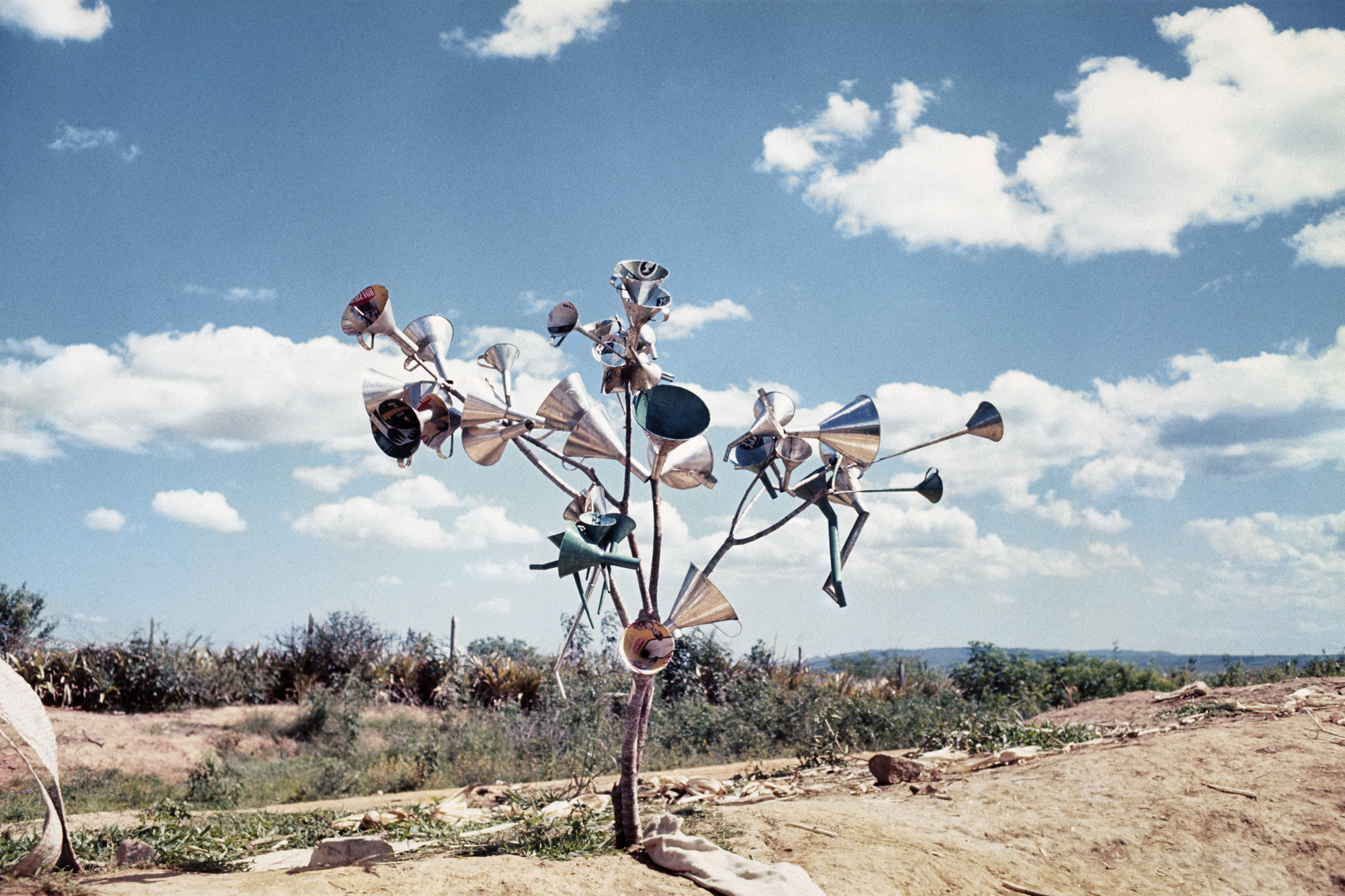 Programação semanal na Pinacoteca do Ceará conta com a abertura de duas novas exposições, além de atividades para o público infantil