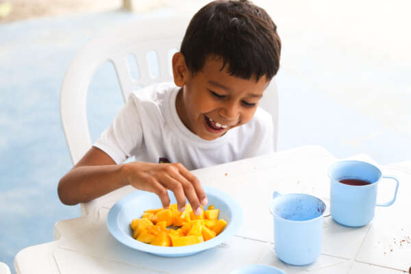 Doações do Programa Mais Nutrição ultrapassam 4 milhões de quilos de alimentos