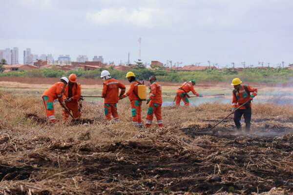 Sema acompanha ação de combate a incêndio no Parque do Cocó e avanços no plano de recuperação