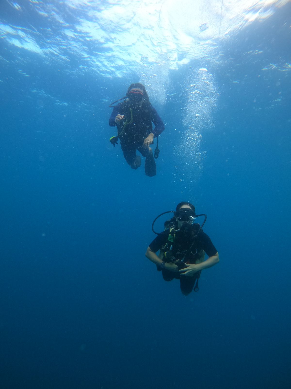 Fiscalização e monitoramento reforçam proteção no Parque Estadual Marinho da Pedra da Risca do Meio