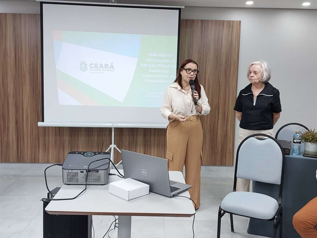 Sesa realiza Encontro da Gestão Estadual de Atenção Primária à Saúde e define ações estratégicas para 2025