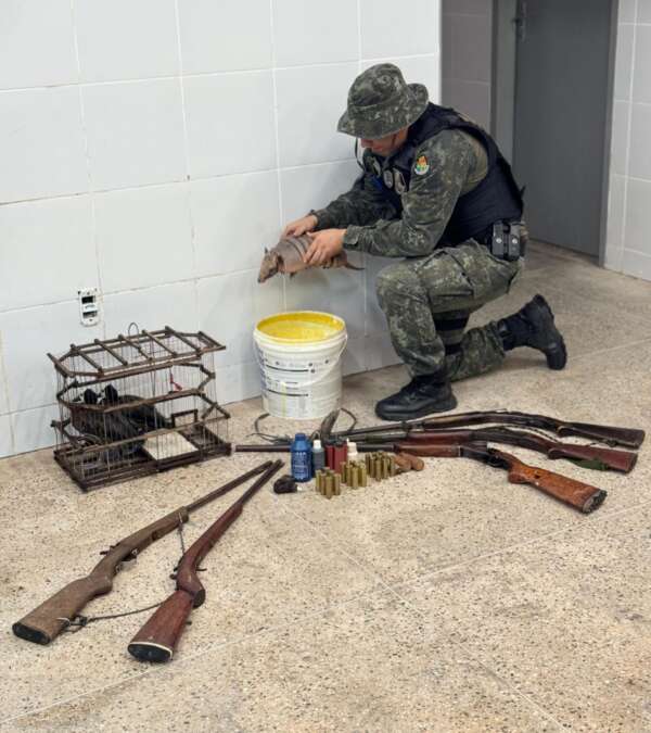PMCE captura suspeitos de manter animais silvestres em cativeiro na zona rural de Granja